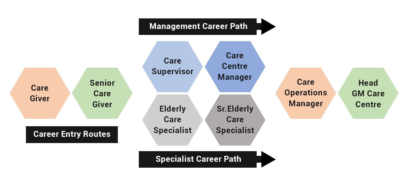 tvet-career-path